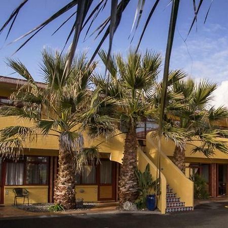 Apartments Paradiso 纳尔逊 外观 照片